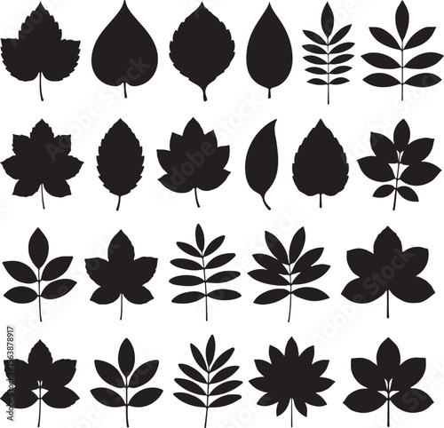 Twenty Four Black Silhouettes of Various Leaf Shapes and Branch Arrangements Isolated on White Background Vector Illustration Set Botanical Design Elements