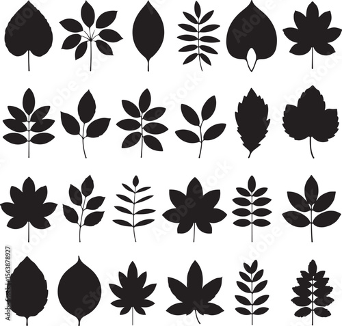Twenty Four Black Silhouettes of Various Leaves and Branches Vector Illustration Botanical Graphic Design Elements Set