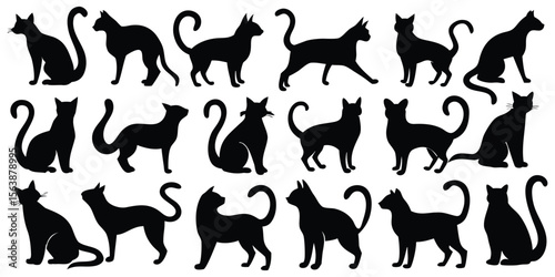 Photography A vector collection of black animal silhouettes including running cats, dogs, ho