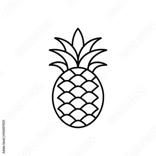 pineapple vector illustration