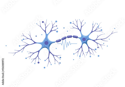 biological neuron with clearly elongated axon and dendrites. Flat vector illustration on transparent background