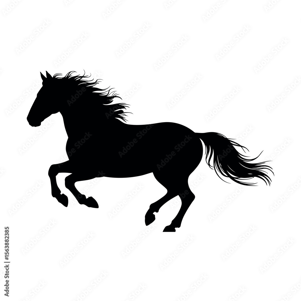 Obraz premium Horses Silhouette on white background
