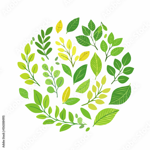Green Leaves Circle Composition: A fresh composition of various green leaves arranged in a circle shape on a clean background, evoking the vitality of nature.