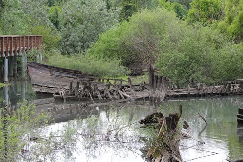 BURCI Cemetery is a suggestive palce in the bend of the river SILE in Northern Italy with wrecks of old sunken wooden boats called BURCIO 
