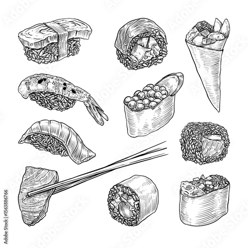 sushi illustration different types of sushi vector line art hand drawn set collection