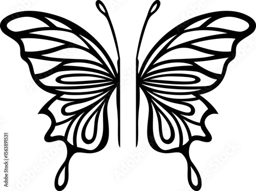 Half a butterfly
