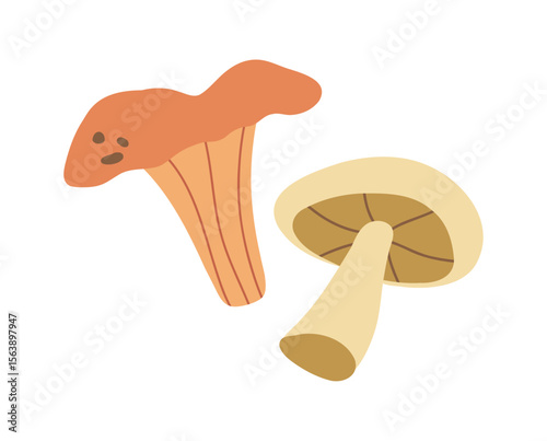 Mushrooms in flat style. Vector