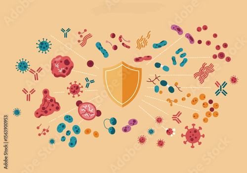 A graphic depicting a shield surrounded by microorganisms antibodies and cells on a peach background