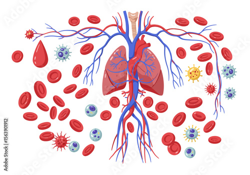 Human circulatory system cartoon Red blood cells heart lungs vessels viruses