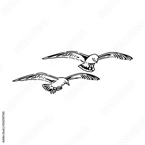 two seagulls flying vector illustration
