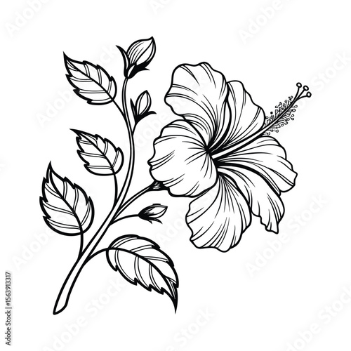 intricate black line art illustration of a large beautiful hibiscus flower with flowing petals and leaves