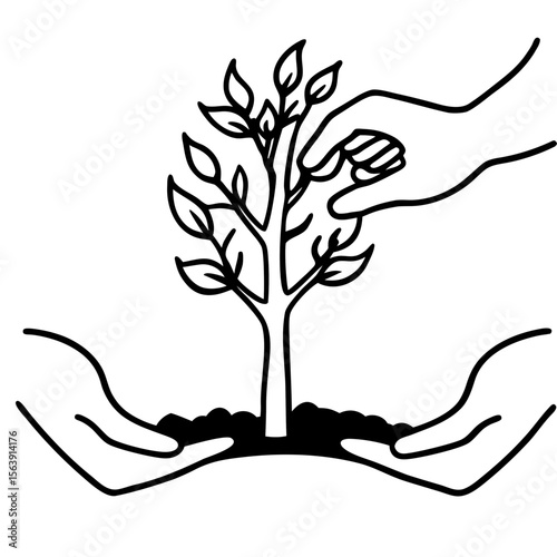Hands planting a small tree in soil