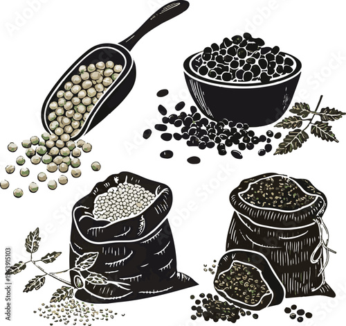Illustrated collection of black and white peppercorns and green peppercorns in bags and a bowl