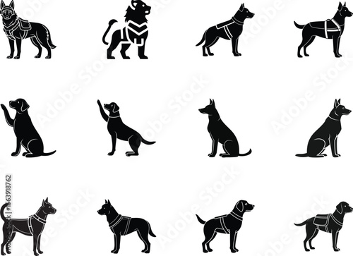 Several breeds of black working canine and feline animals stand against a transparent backdrop