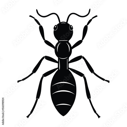 Black Ant Silhouette Vector Graphic Free Download