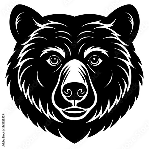 vector illustration of a bear