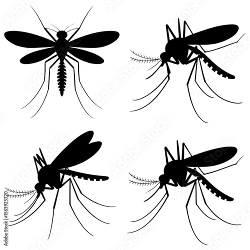 Four mosquito silhouettes in various orientations