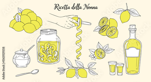 Limoncello Recipe Set. "Ricetta della Nonna" hand drawn vector illustrations showing the process of making Italian lemon liqueur for menus or food blogs.
