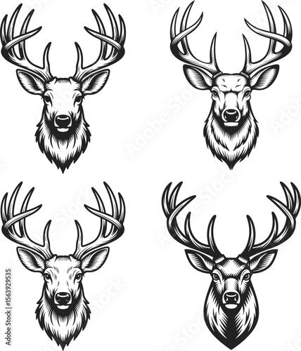 Dear Head silhouette with big antlers vector art illustration