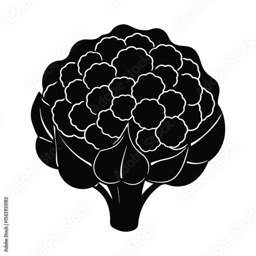 Fresh Cauliflower Vegetable Black Silhouette Illustration