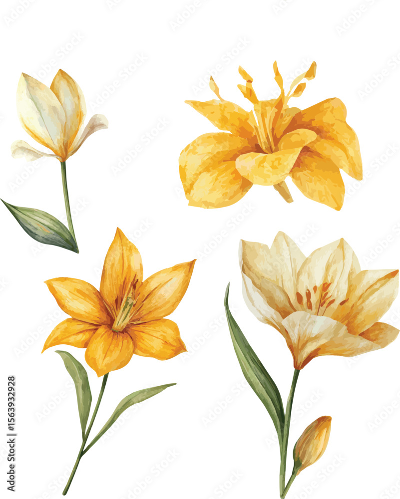 Obraz premium Vector set of watercolor illustration of a yellow flower with lush green leaves and a slender stem.