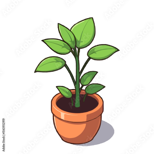 Detailed, Contoured House Plant Design