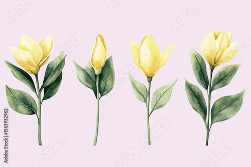 Watercolor illustration depicts a flowering Jasminum branch with lush green leaves and delicate yellow blossoms. Vector set 