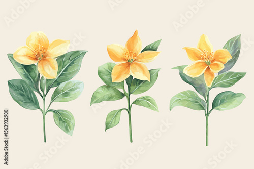 Watercolor illustration depicts a flowering Jasminum branch with lush green leaves and delicate yellow blossoms. Vector set 