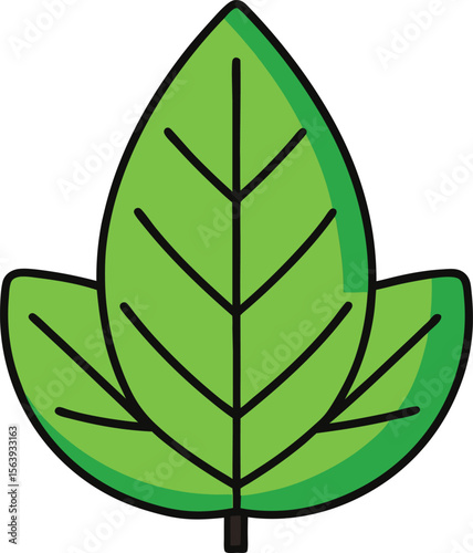 green leaf with veins isolated on white background