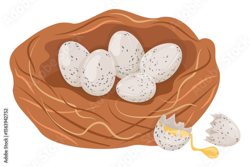 Birds mottled eggs lying in nest, one broken outside. Vector texture pattern clutch of eggs and shell. Several light colored eggs with dark spots are hidden in birds house.