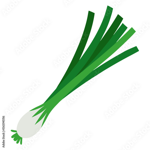 fresh green onion