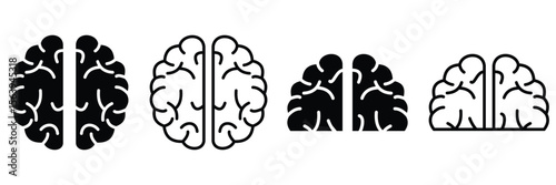 Human Brain Icon Collection — Solid and Outline Medical Vector Set