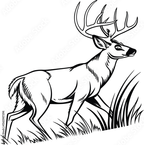 Majestic deer head silhouette with antlers vector illustration 