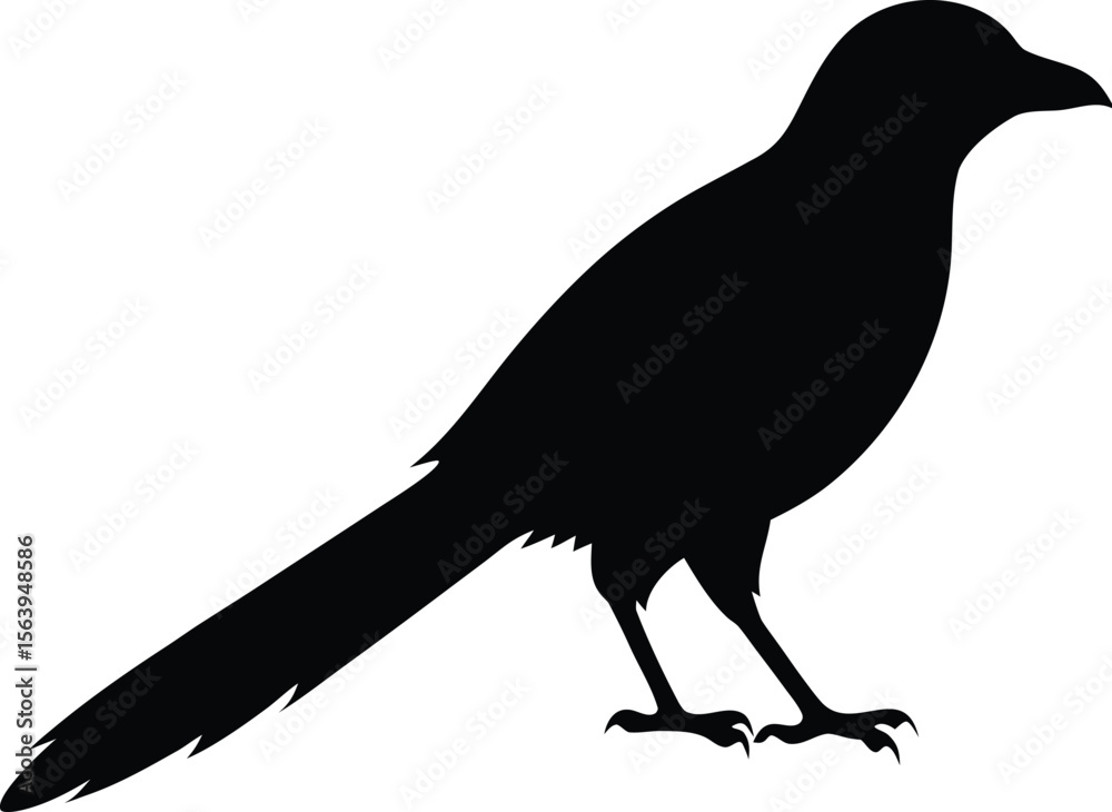 Fototapeta premium Silhouette vector illustration of a crow on a white background