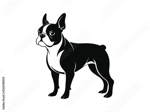 Boston Terrier dog silhouette vector illustration, pet clipart, black and white animal shape
