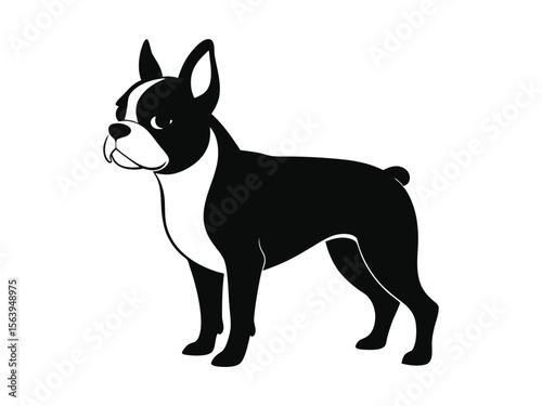 Boston Terrier dog silhouette vector illustration, pet clipart, black and white animal shape