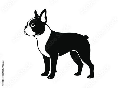 Boston Terrier dog silhouette vector illustration, pet clipart, black and white animal shape