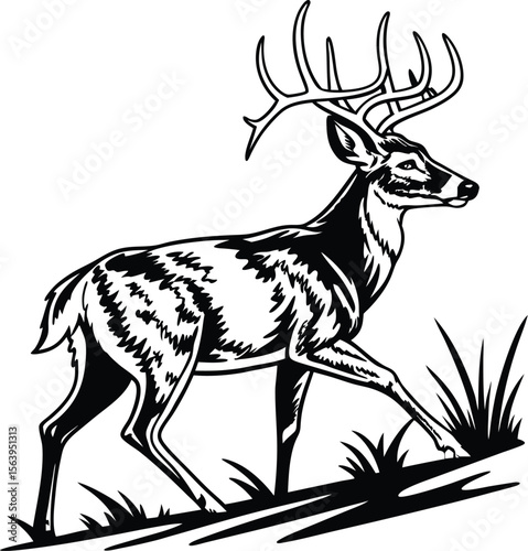 Majestic black and white deer silhouette with impressive antlers gazing into distance 