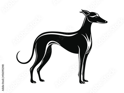 Italian Greyhound dog silhouette vector illustration, pet clipart, black and white animal shape