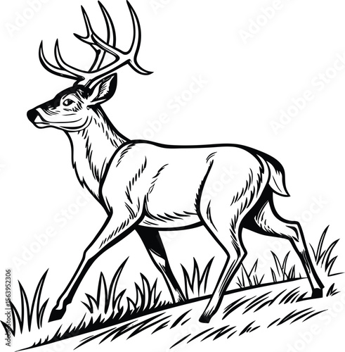 Majestic black and white deer silhouette with impressive antlers gazing into distance 