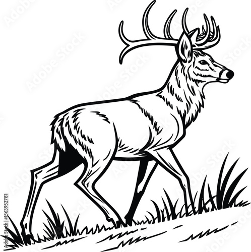 Majestic black and white deer silhouette with impressive antlers gazing into distance 
