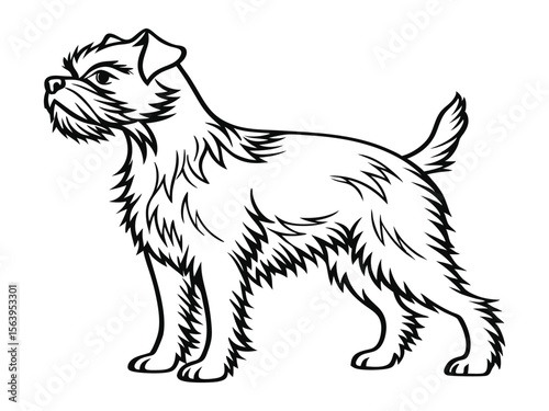 Affenpinscher dog silhouette vector illustration, pet clipart, black and white animal shape