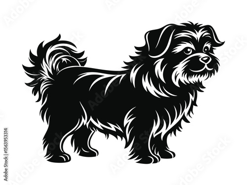 Affenpinscher dog silhouette vector illustration, pet clipart, black and white animal shape
