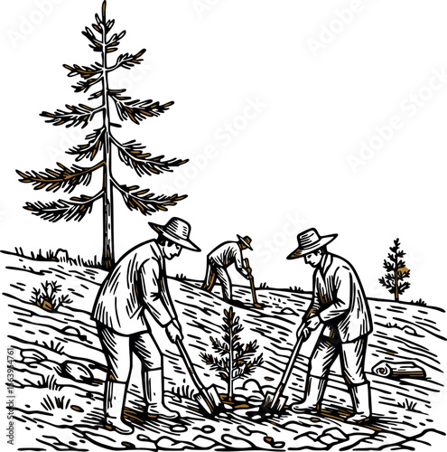 Tree planting activity with men digging soil and planting trees in forest reforestation effort vector illustration