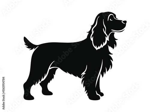 Cocker Spaniel dog silhouette vector illustration, pet clipart, black and white animal shape