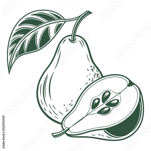 gorham pear with leaves