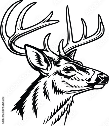 Majestic deer head silhouette with antlers vector illustration 