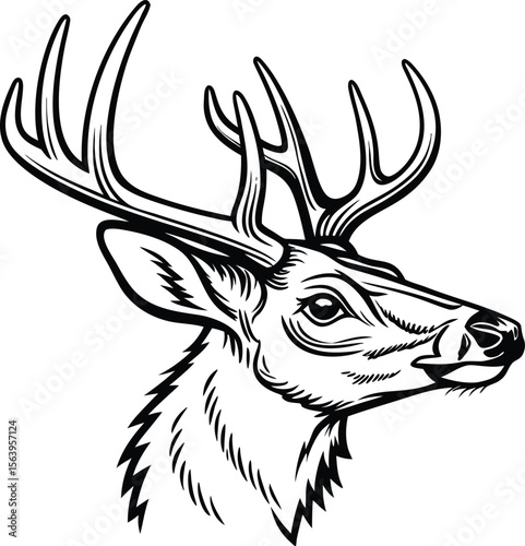 Majestic deer head silhouette with antlers vector illustration 