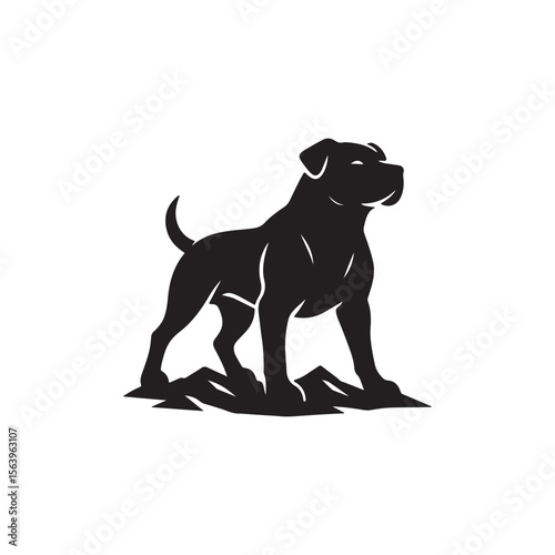 Silhouette of a muscular dog standing on a rocky surface against white backdrop