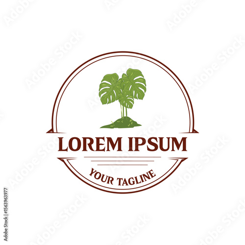 monstera plant logo white background separate